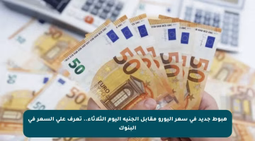 هبوط جديد في سعر اليورو مقابل الجنيه اليوم الثلاثاء.. تعرف على السعر في البنوك
